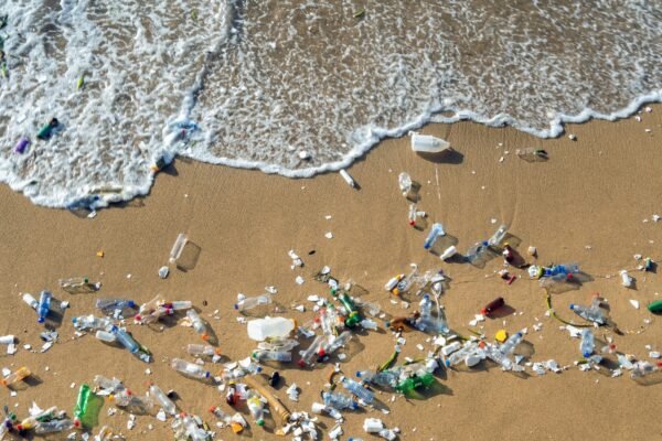 Harnessing Air and a Simple Catalyst: A Breakthrough in Plastic Degradation